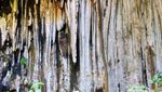 Wisata Mistis di Pacitan, Mampir ke Gua Kalak