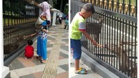 Asyiknya memberi makan kijang Bogor