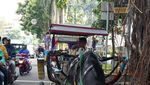 Wisata Murah Meriah di Bogor, Ini Caranya