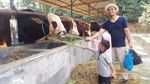 Wisata Murah Meriah di Tegal, Asyik Buat Anak