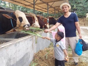 Wisata Murah Meriah di Tegal, Asyik Buat Anak