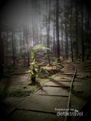 Wisata Murah yang Instagramable dari Lembang