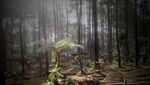 Wisata Murah yang Instagramable dari Lembang