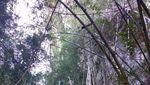 Wisata Perut Bumi di Gua Batu Cermin
