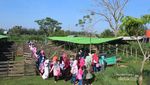 Wisata Peternakan di Aceh, Bisa Minum Susu Lho!