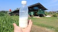 susu kambing segar organik