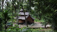 Surau Atok Ijuk Sicincin sangat asri dan suasananya sepi