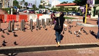 Merpati-merpati cantik yang berada di depan Batu Caves