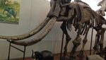Wisata Sambil Belajar di Museum Geologi Bandung