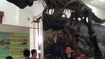 Wisata Sambil Belajar di Museum Geologi Bandung