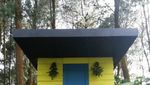 Wisata Sejuk di Tengah Hutan Pinus, Coban Talun