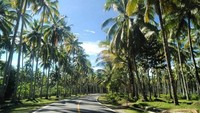 Pesona Pantai Krui