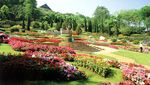 Wisata Seru ke Bekas Ladang Opium!