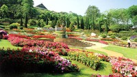 Taman bunga Doi Tung (indochinaexplorer.com)