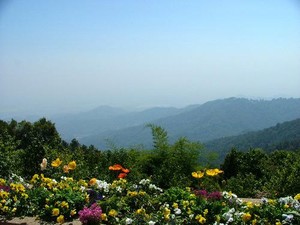 Wisata Seru ke Bekas Ladang Opium!