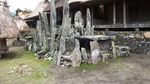 Wow! Ada Banyak Batu Menhir di Kampung Ini