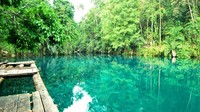 Sungguh mengoda  (Laras Puspasari/ACI)