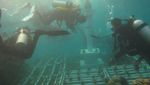 Wow! Ada Monas di Dalam Laut Kepulauan Seribu