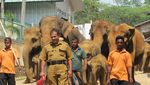 Wow! Ada Panti Asuhan Khusus Gajah di Sri Lanka
