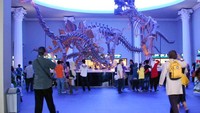 dua fosil Tyrannosaurus yang erdiri tegah di tengah ruangan Museum Satwa