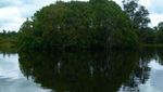 Wow! Air Danau Tahai Berwarna Merah