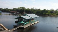 Danau Tahai (Sumber: tours-in-indonesian.blogspot.com)