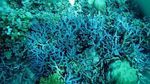 Wow! Anambas Jadi Pulau Tropis Paling Indah se-Asia
