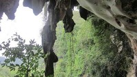 Stalagnit di gua (dok. Naryani Soepandi/dtraveller)
