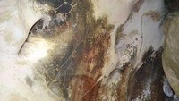 Cap tangan di dinding gua (dok. Naryani Soepandi/dtraveller)