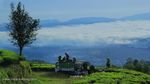 Wow! Dari Subang Pergi ke Awan