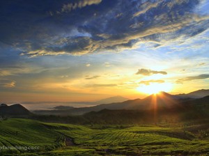 Wow! Dari Subang Pergi ke Awan