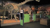 Tulang Dinosaurus di dalam museum (sumber: tripadvisor.fr)