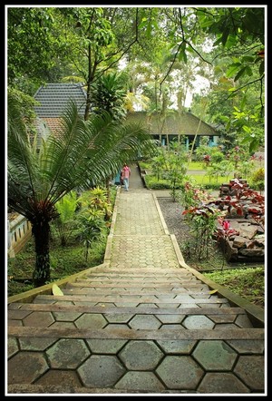Wow! Kolam Cinta di Mojokerto Ini Tak Pernah Kering