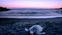Senja di Penalu-u (angelsecretgarden.blogspot.com)