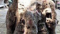 Arca arca kecil disekitar arca Joko Dolog