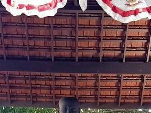 Wujud Patung Joko Dolog yang Terkenal di Surabaya
