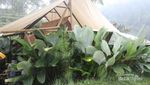 Yang Asyik di Ciwidey, Glamping di Alam Bebas