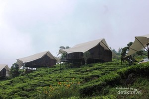 Yang Asyik di Ciwidey, Glamping di Alam Bebas