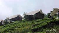 Glamping
