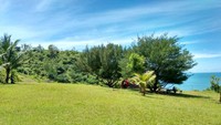Hamparan Rumput di kawasan Teras Kaca
