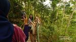 Yang Baru di Kulonprogo, Wisata Pule Payung