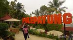 Yang Baru di Kulonprogo, Wisata Pule Payung