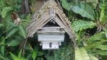 Yang Beda di Thailand, Datang ke Peternakan Lebah
