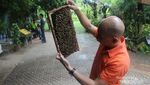 Yang Beda di Thailand, Datang ke Peternakan Lebah