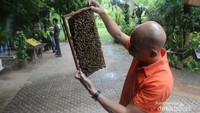 Ini dia kembaran Van Diesel yang saya maksud