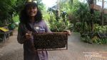 Yang Beda di Thailand, Datang ke Peternakan Lebah