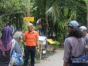 Yang Beda di Thailand, Datang ke Peternakan Lebah