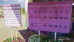 Yang beda di Thailand, Wisata ke Kebun Anggur