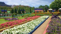 Taman bunga yang cantik