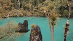 Yang Belum Kamu Tahu di Pulau Labengki, Laguna Mahulalangan